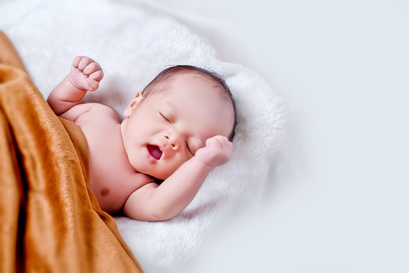 lorem ipsum dolor sit